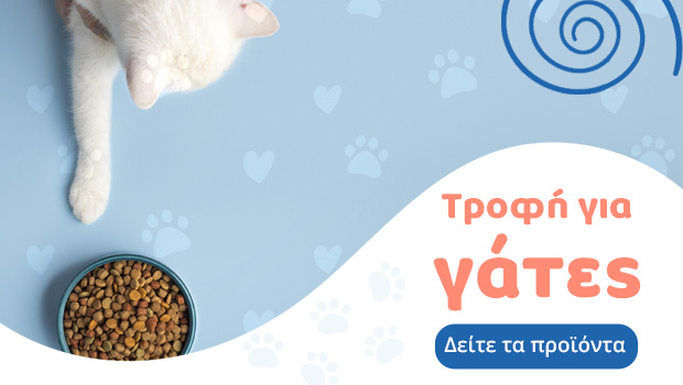 Τροφή για γάτες