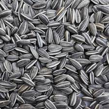 Ηλιόσπορος δίχρωμος ψιλός 1 kg