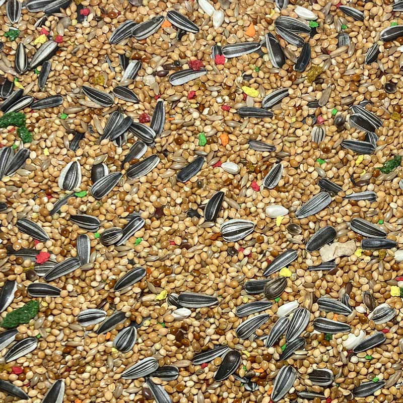 Παπαγαλοτροφή Natureline μεσαίων παπαγάλων 1 kg