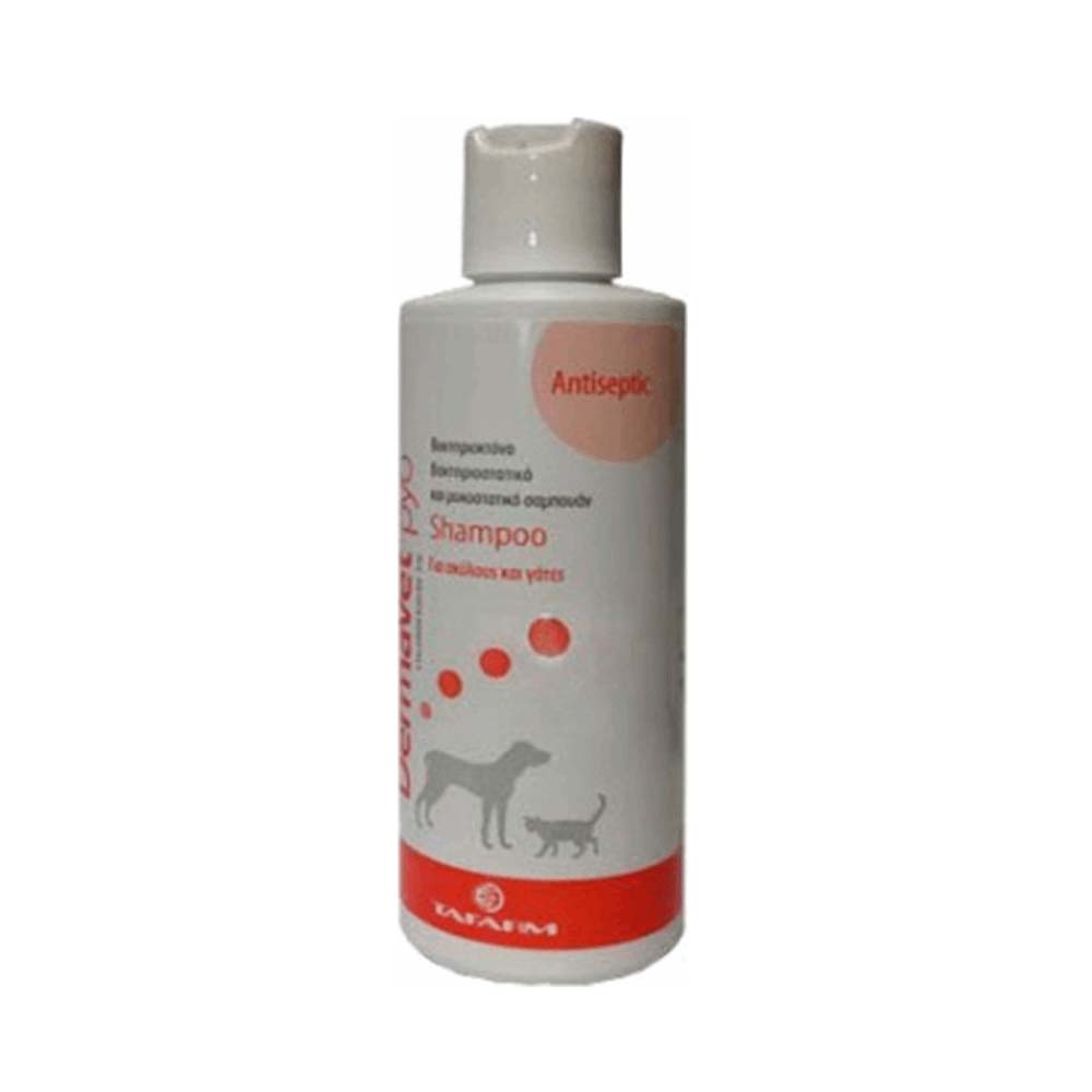Tafarm DermaVet PYO Σαμπουάν Σκύλου-Γάτας Αντισηπτικό 200ml