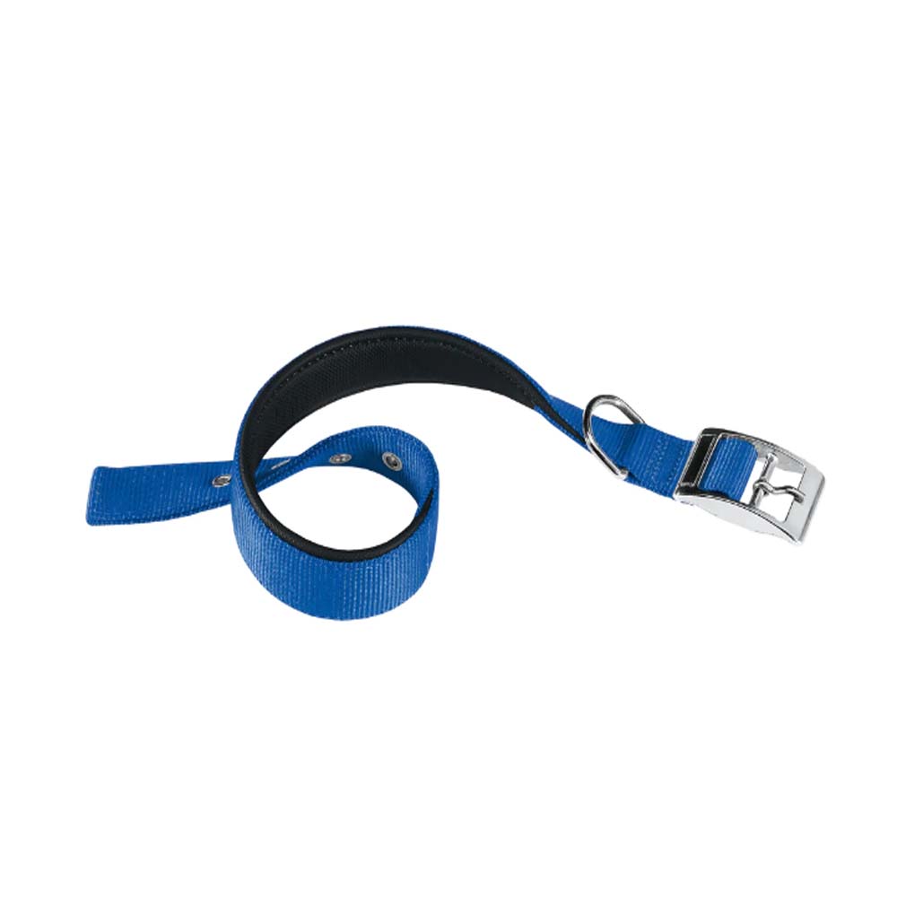 Ferplast Daytona Περιλαίμιο Σκύλου C25/53 Μπλε
