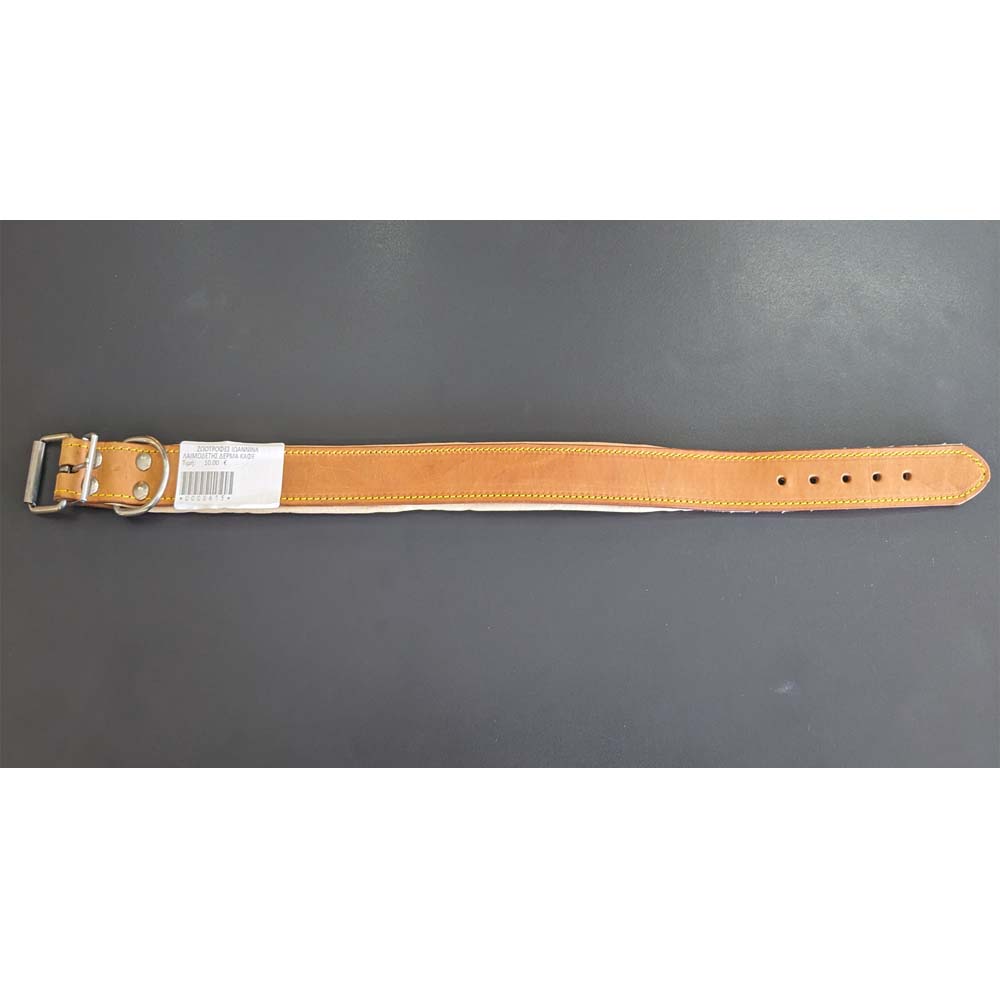 Funky Pet Περιλαίμιο Για σκύλους από Δερμα με Επίστρωση 3.5εκ Χ 61εκ