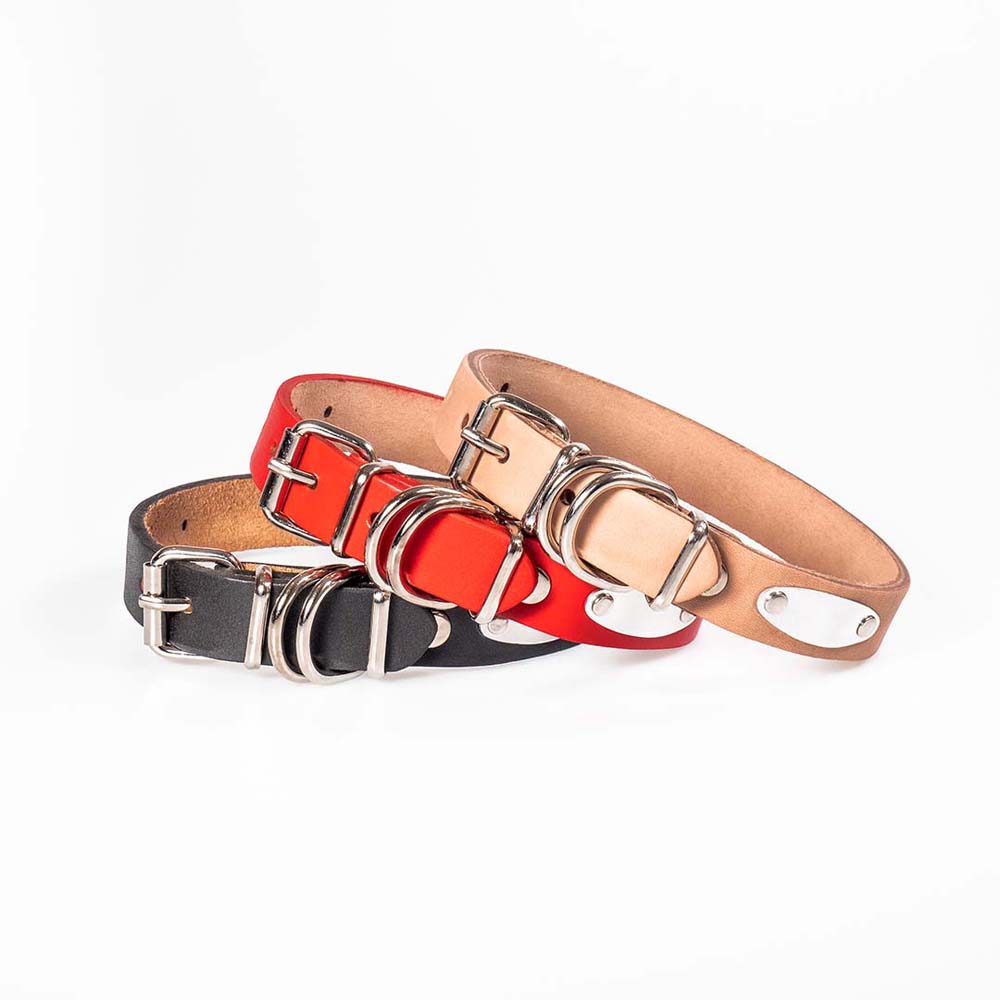 Funky Pet Collar with Natural Leather 2.5cm X 53cm