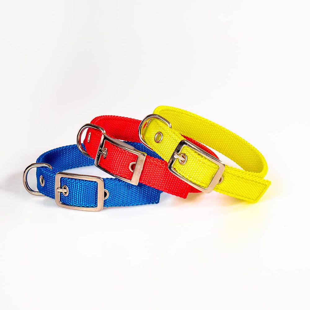 Funky Pet Collar Synthetic Strap 55cm - 2.5cm