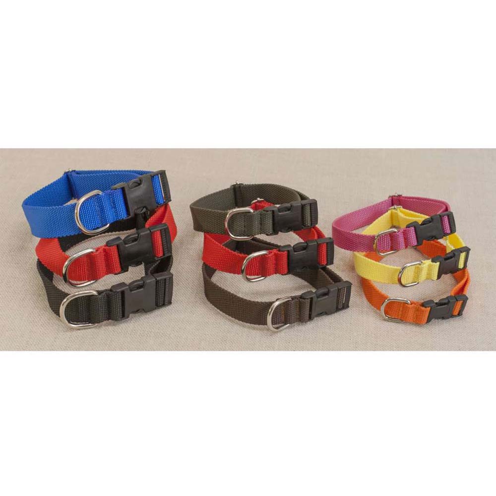 Funky Pet Synthetic Leash Collar with Clip 2.5 x 30/51 cm