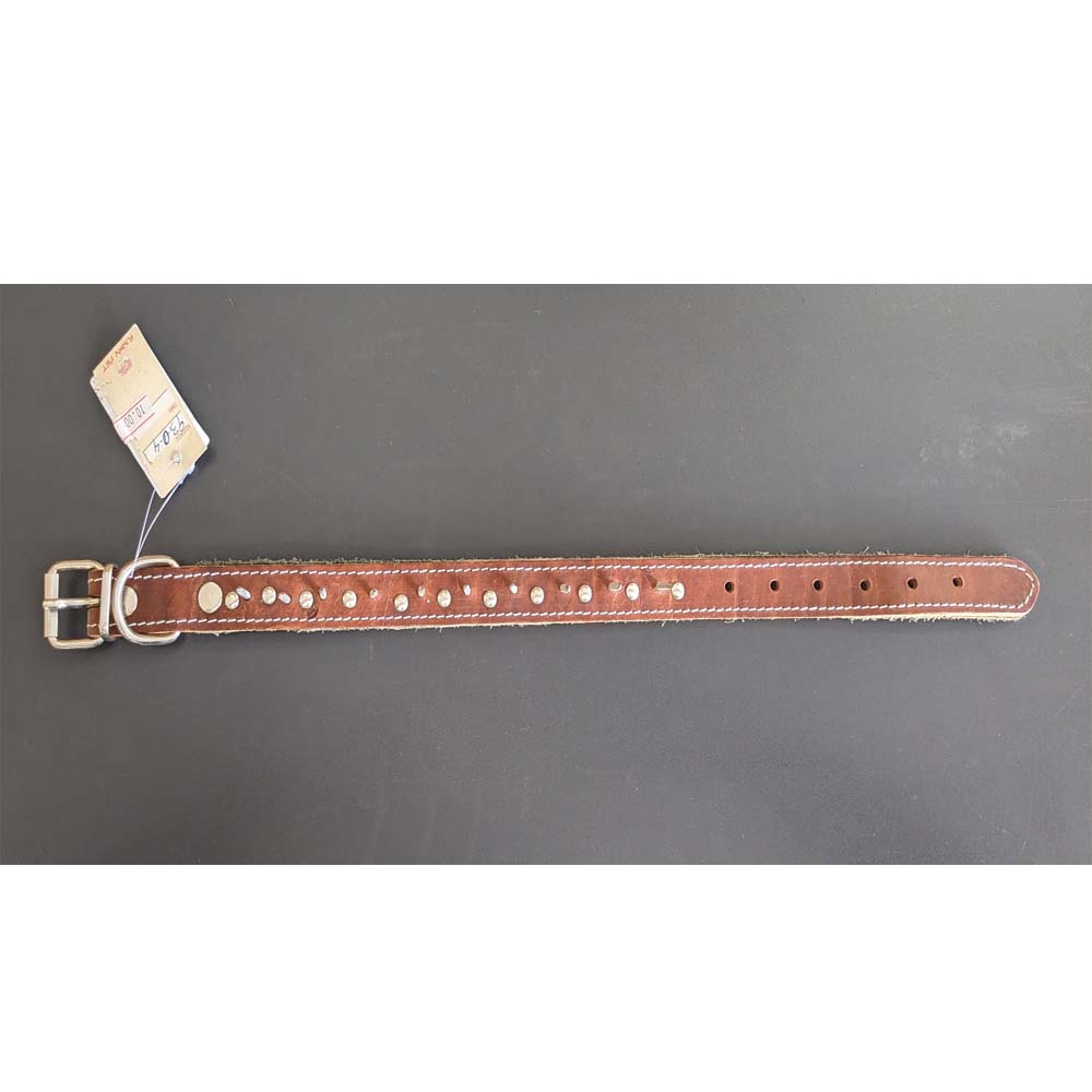 Funky Pet Leather Rope with Nails 3cm - 48cm