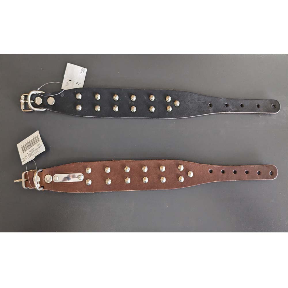 Funky Pet Leather Rope with Nails 4.3cm - 43cm