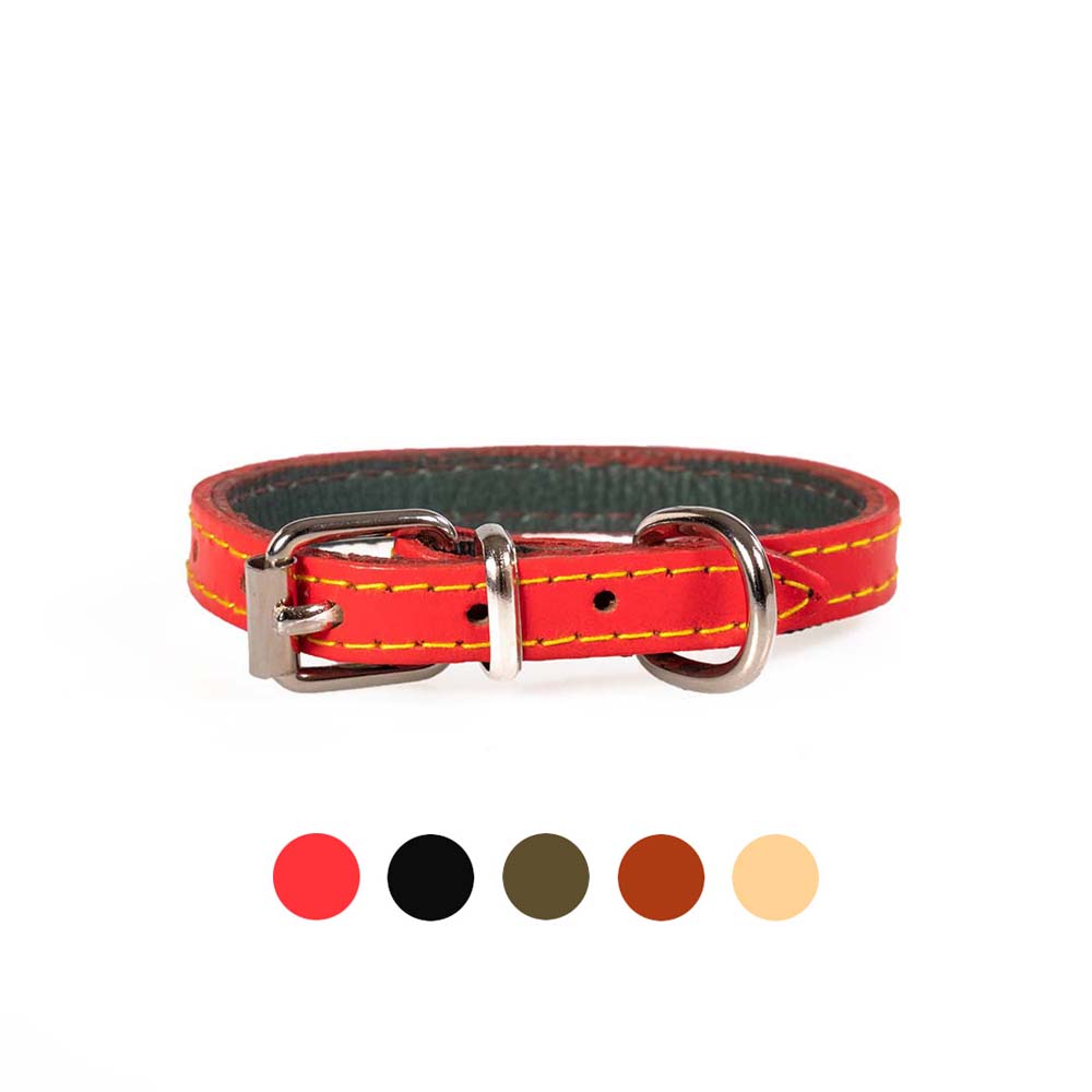 Funky Pet Dog Collar with Lining Small 36cm - 1.3cm