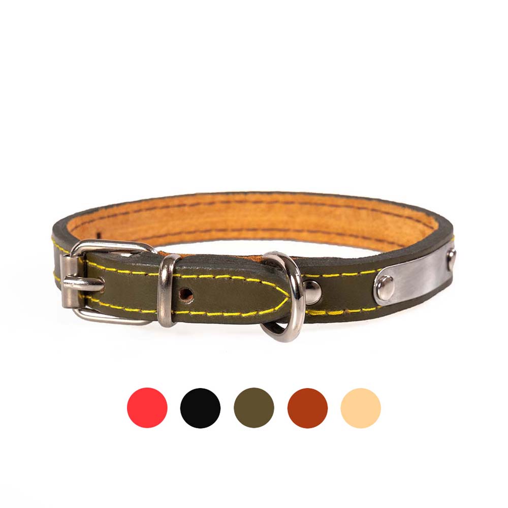 Funky Pet Dog Collar with Lining Medium 41cm - 1.6cm