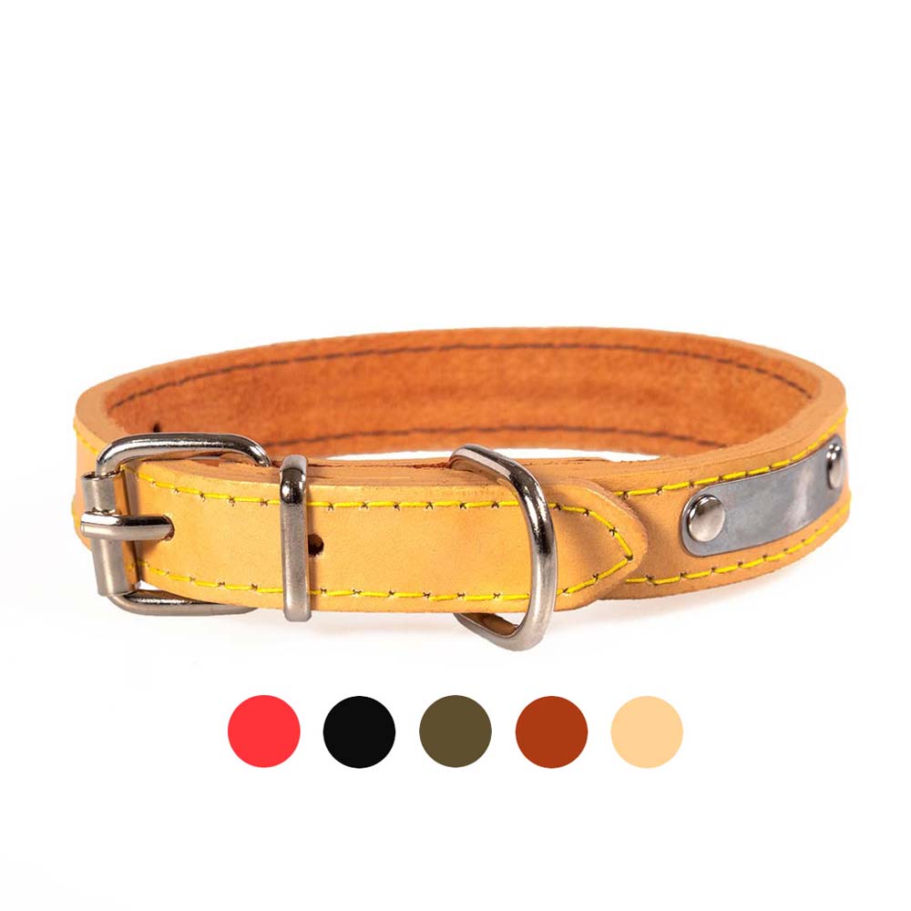 Funky Pet Dog Collar with Lining 45cm - 2cm