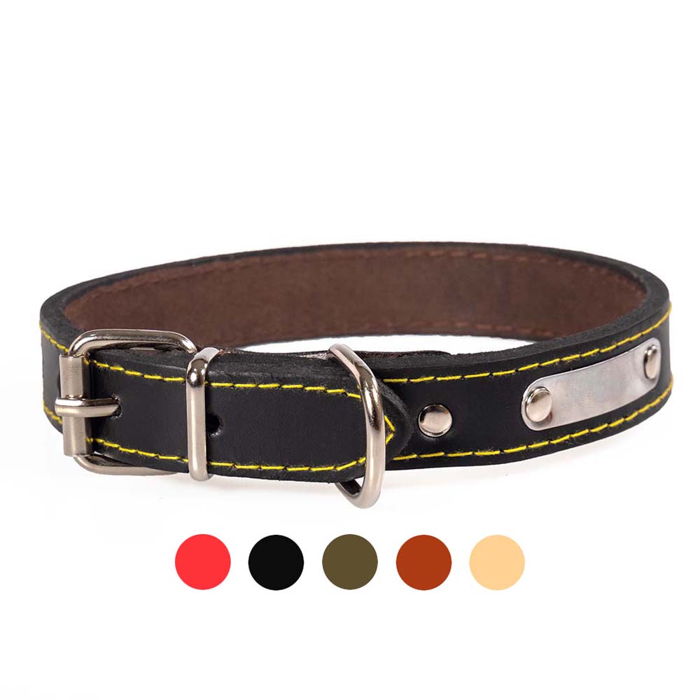 Funky Pet Dog Collar with Liner Large 48cm - 2.2cm