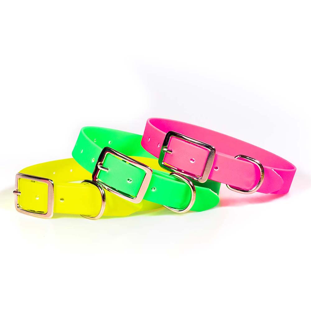 Funky Pet Matte PVC Collar with Molded Handle