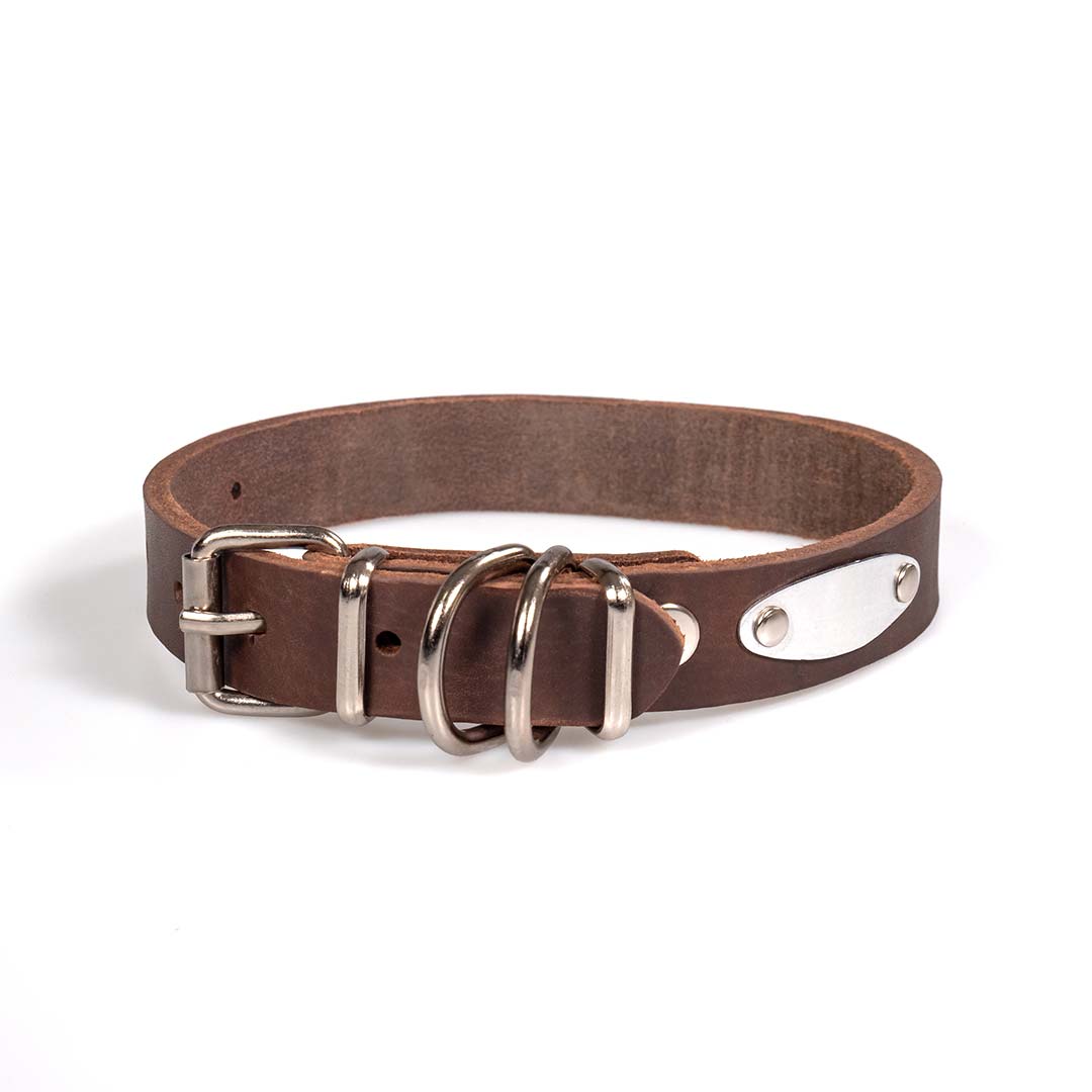 Funky Pet Oil Collar for Dogs 53cm - 2.5cm