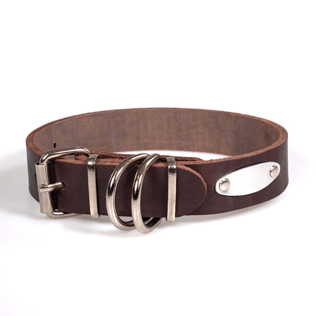 Funky Pet Oil Collar for Dogs 57cm - 3cm