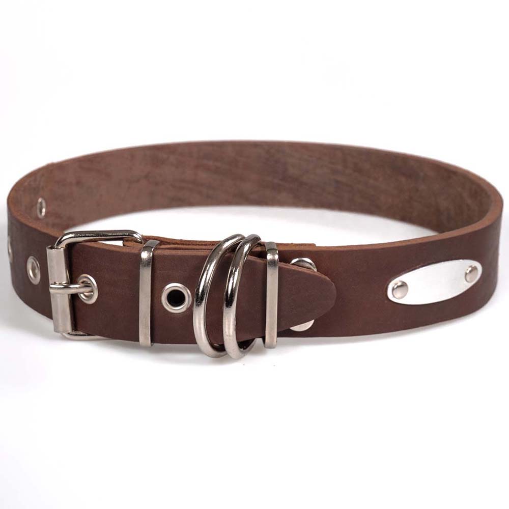 Funky Pet Oil Collar for Dogs 79cm - 3.5cm