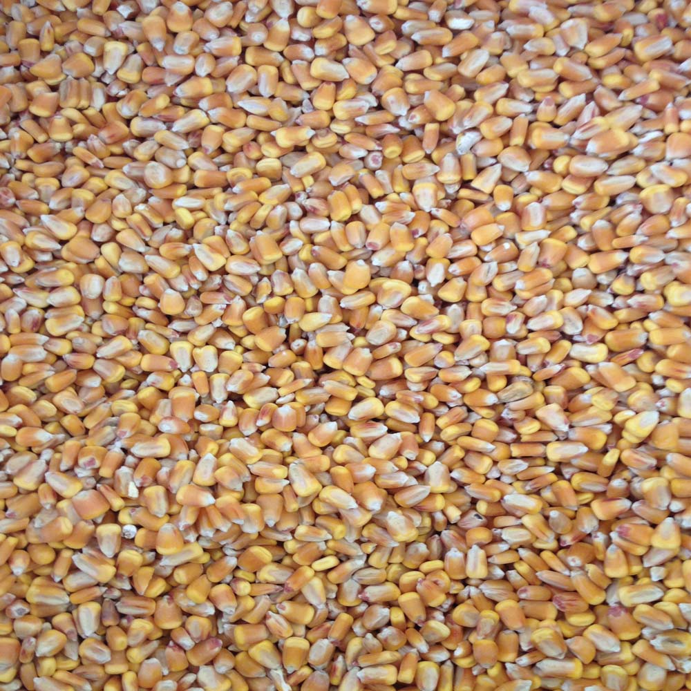 Corn 30kg