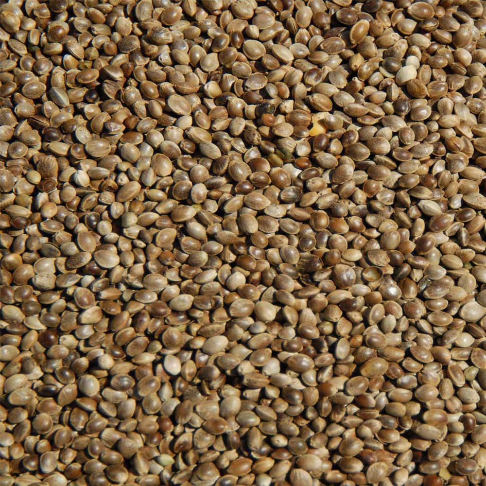 Κανναβούρι Zippy Γαλλικό 3,75mm 1 Kg