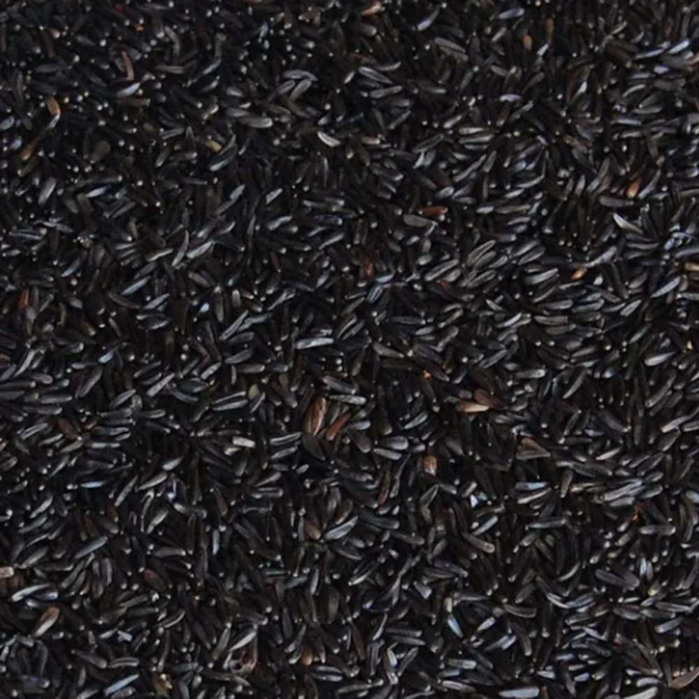 Νίζερ Ινδίας Niger τροφή για πτηνά 1 kg