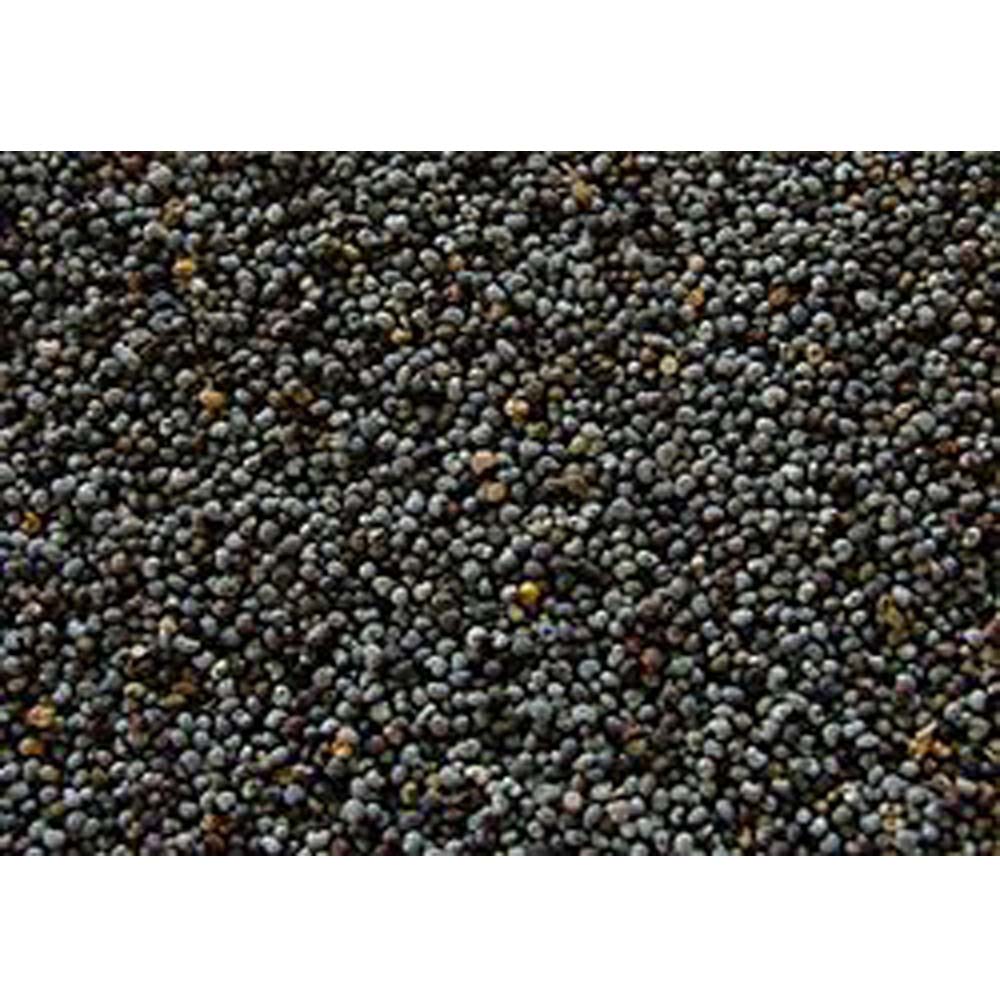 Παπαρούνα Ευρώπης 1kg