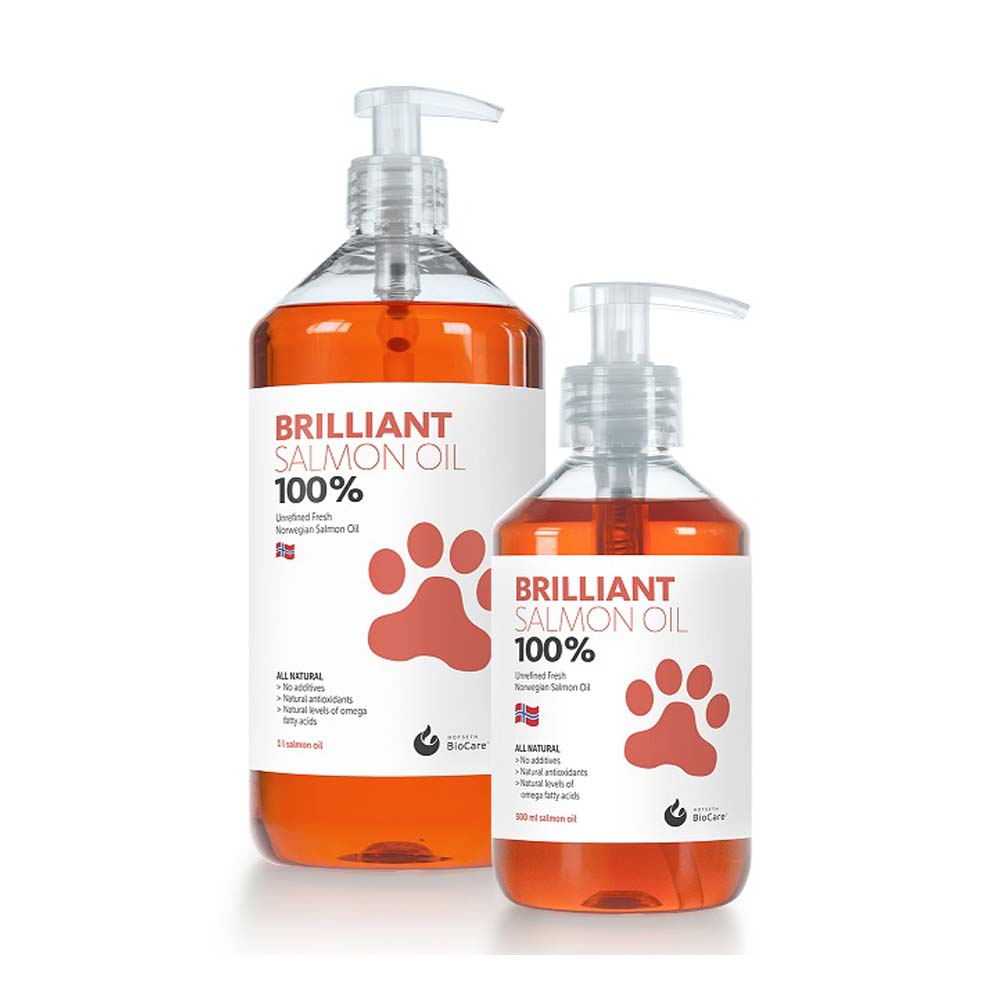 Pet Camelot Brilliant Λάδι Σολομού Σκύλου 300ml