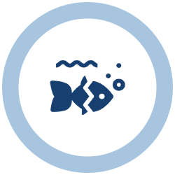 Προϊόντα για Ψάρι Food4pet Ιωάννινα