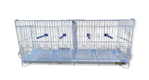 Ζευγαρώστρες