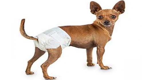 Πάνες & Βρακάκια