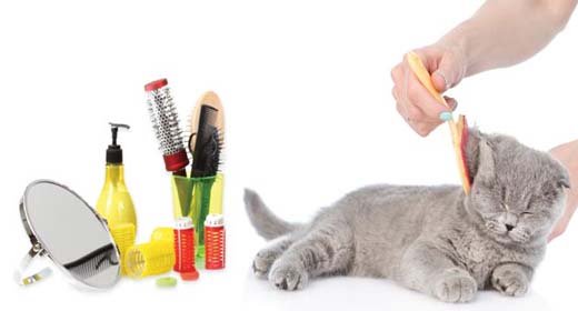 Περιποίηση