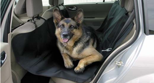 Αξεσουάρ αυτοκινήτου