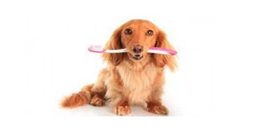 Στοματική φροντίδα