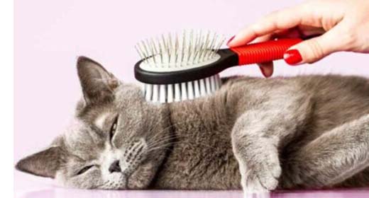 Βούρτσες - Χτένες