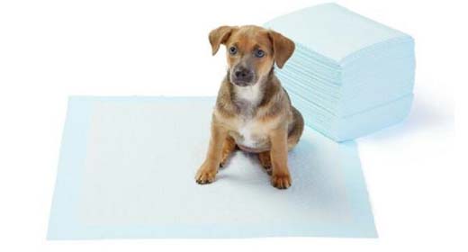 Επιδαπέδιες πάνες