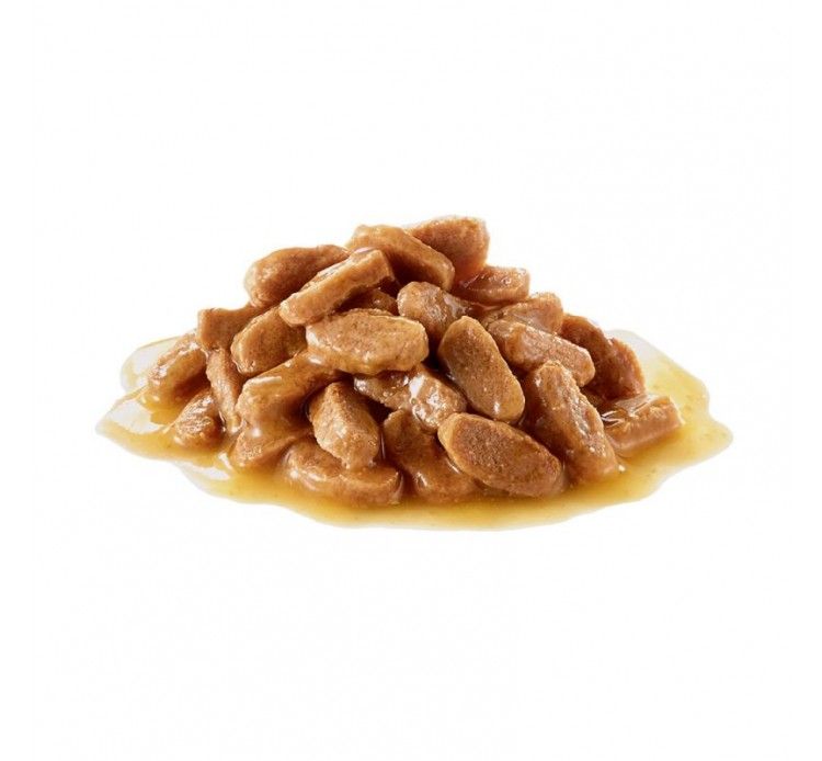 Royal Canin Maxi Puppy τροφή για κουτάβι 140gr