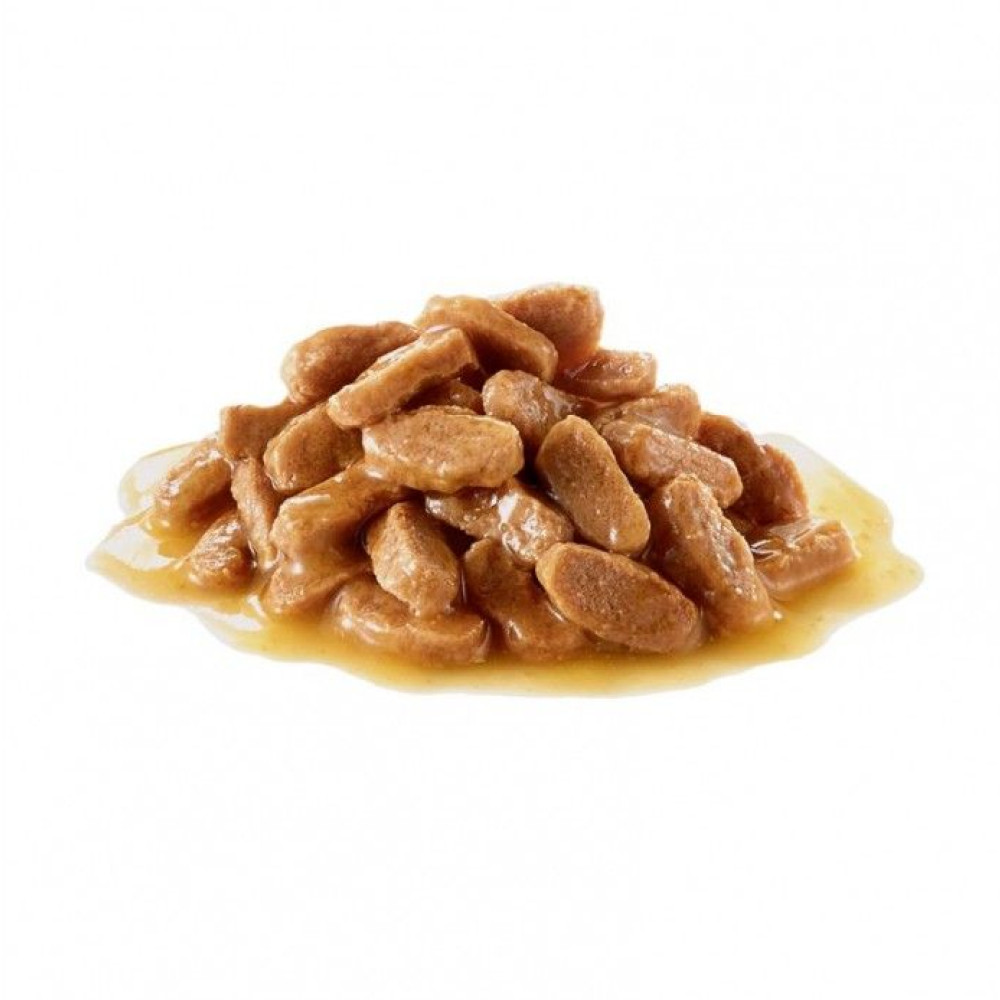 Royal Canin Maxi Puppy τροφή για κουτάβι 140gr