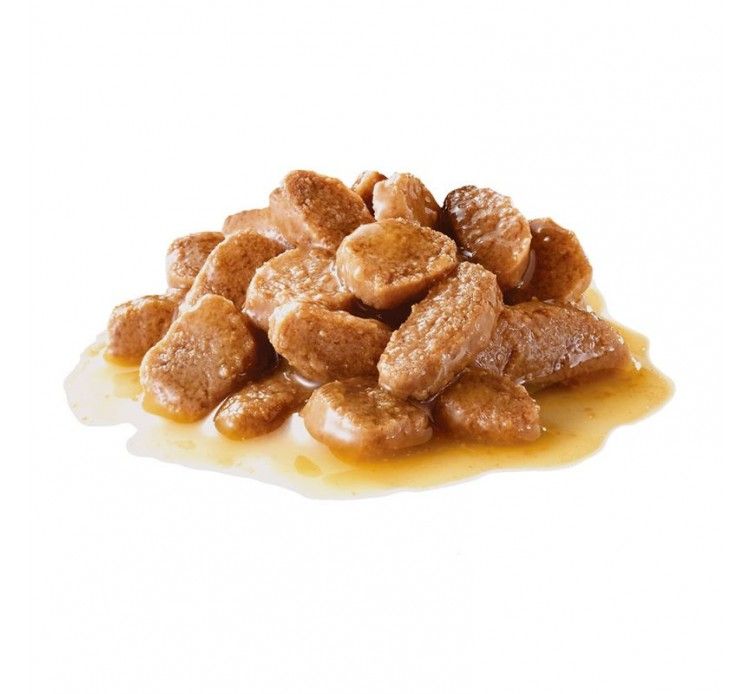 Royal Canin Mini Adult τροφή για σκύλο 85gr