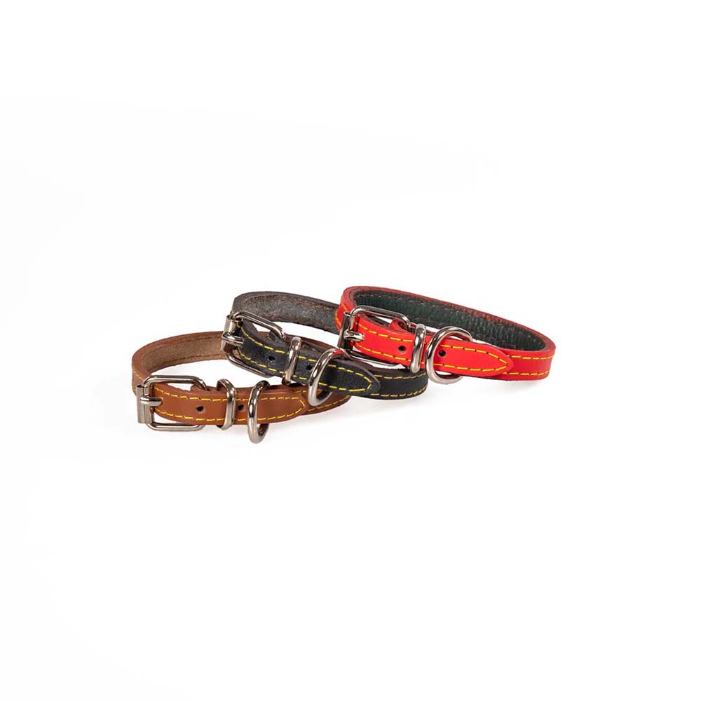 Funky Pet Dog Collar with Lining Small 36cm - 1.3cm