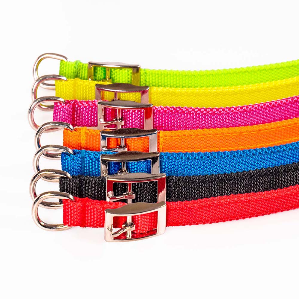 Funky Pet Synthetic Strap Collar 39cm - 1.5cm