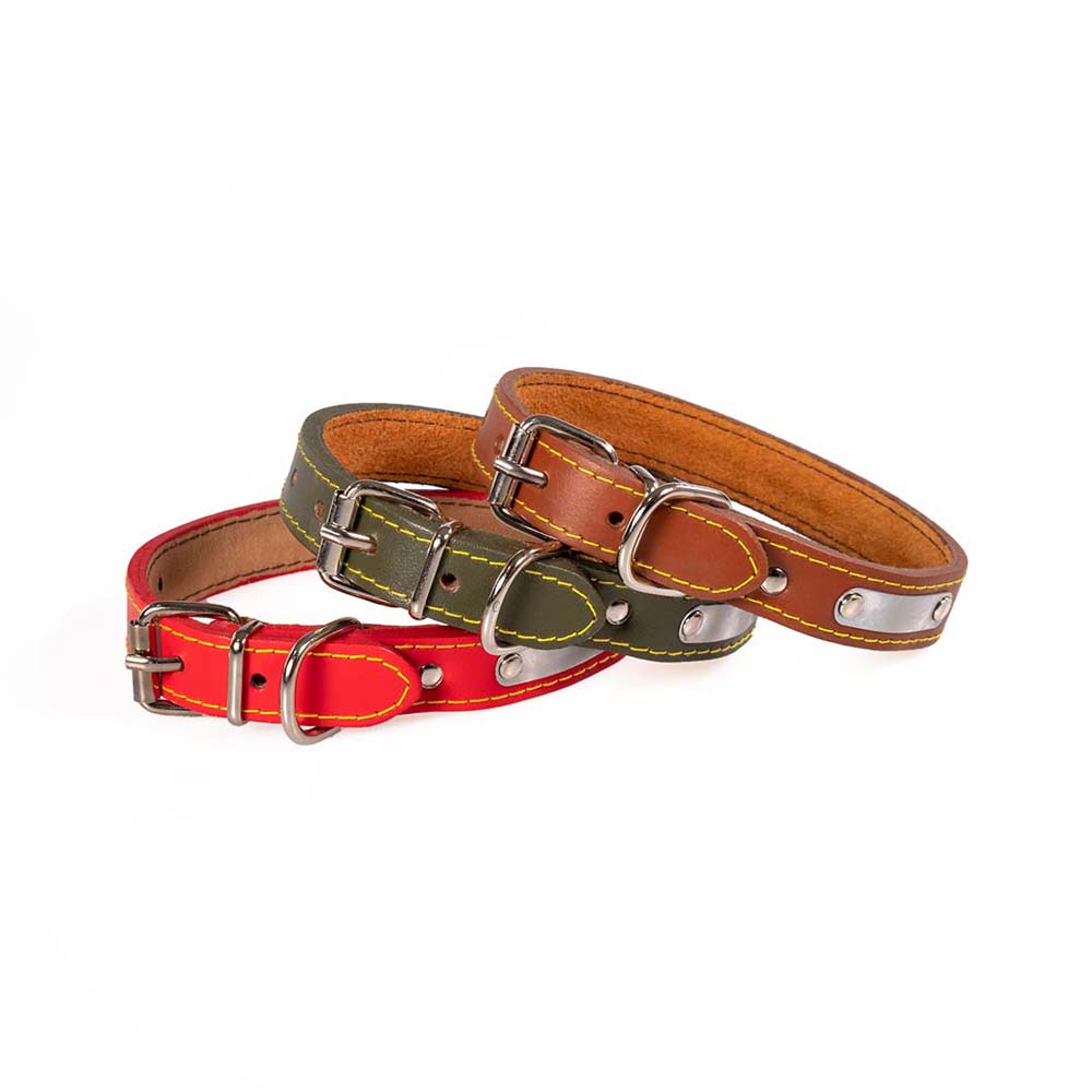 Funky Pet Dog Collar with Liner Large 48cm - 2.2cm