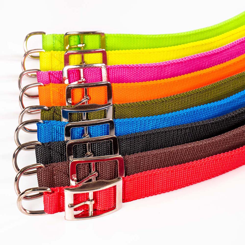 Funky Pet Collar Synthetic Strap 50cm - 2cm