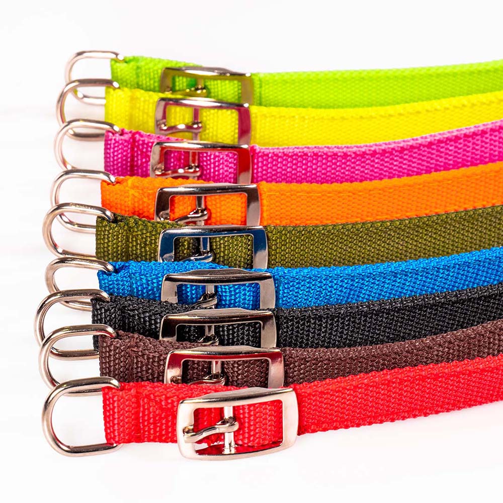 Funky Pet Collar Synthetic Strap 55cm - 2.5cm