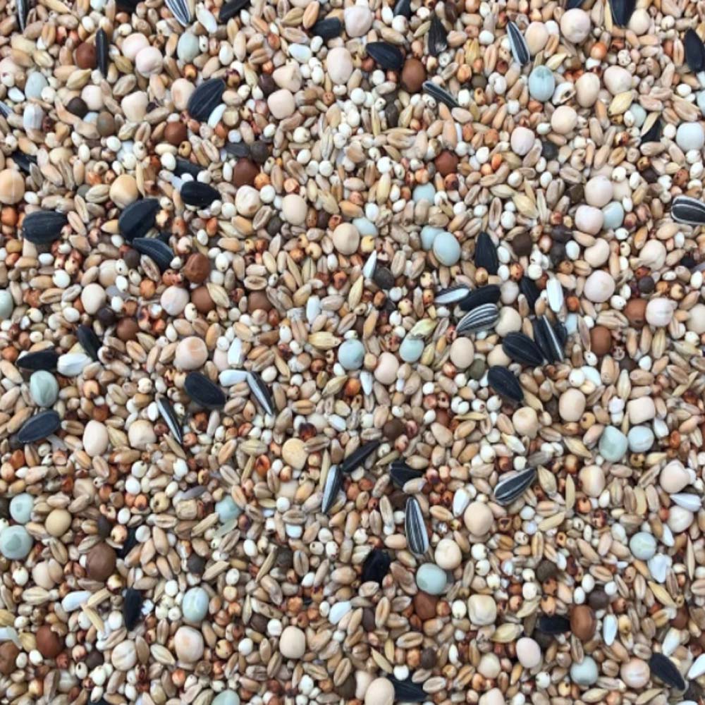 Περιστεροτροφή – Basic χωρίς καλαμπόκι 20kg