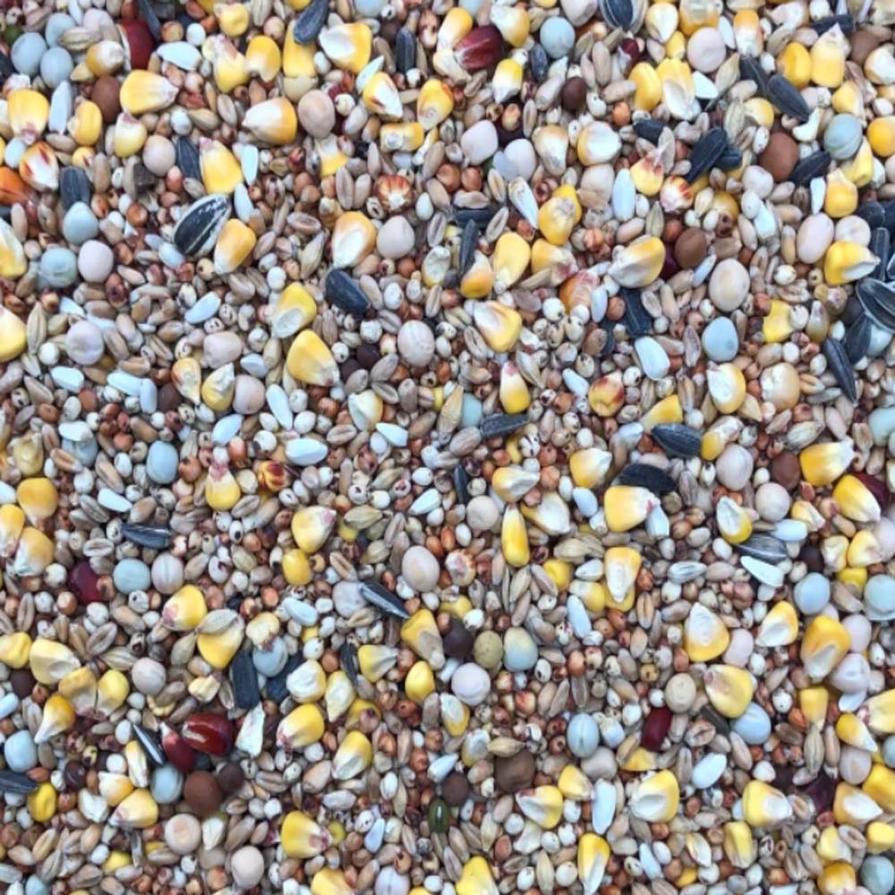 Περιστεροτροφή – Daily 20kg