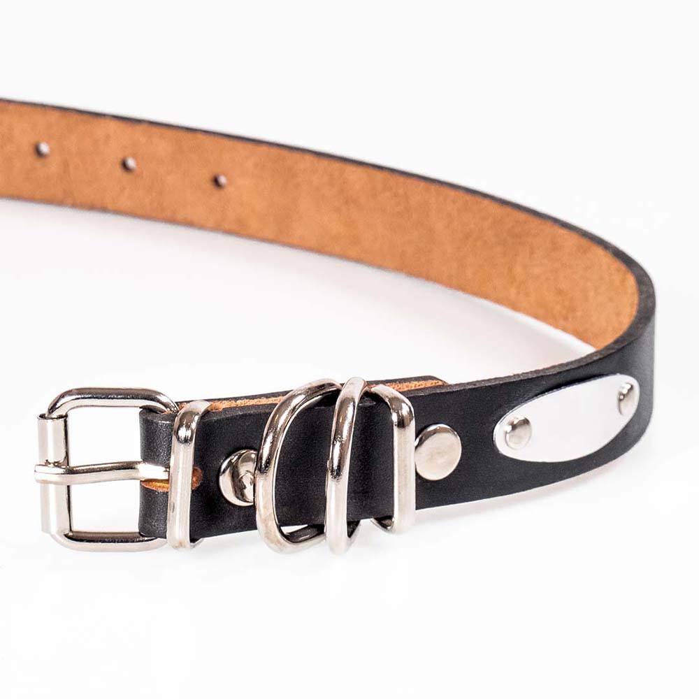Funky Pet Collar with Natural Leather 2.5cm X 53cm