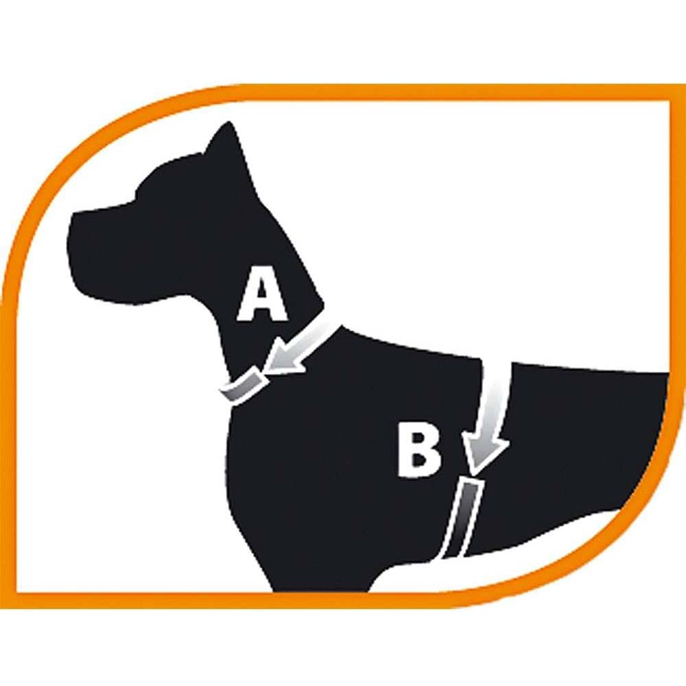 Ferplast Champion P Small - Μπλε