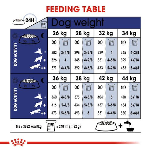 Royal Canin Maxi Ageing 8+ dog food 15kg