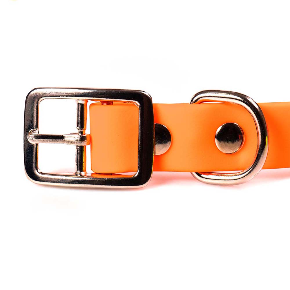 Funky Pet Matte PVC Collar with Molded Handle