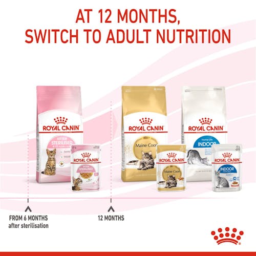Royal Canin Wet Sterilised jelly Food for Kitten 85 Gr
