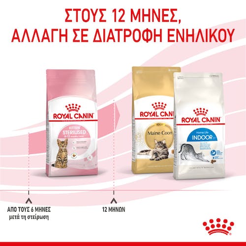 Royal Canin Kitten Sterilised τροφή για γατάκια 2kg