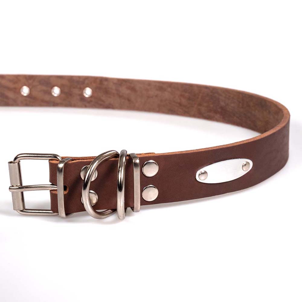 Funky Pet Oil Collar for Dogs 79cm - 3.5cm