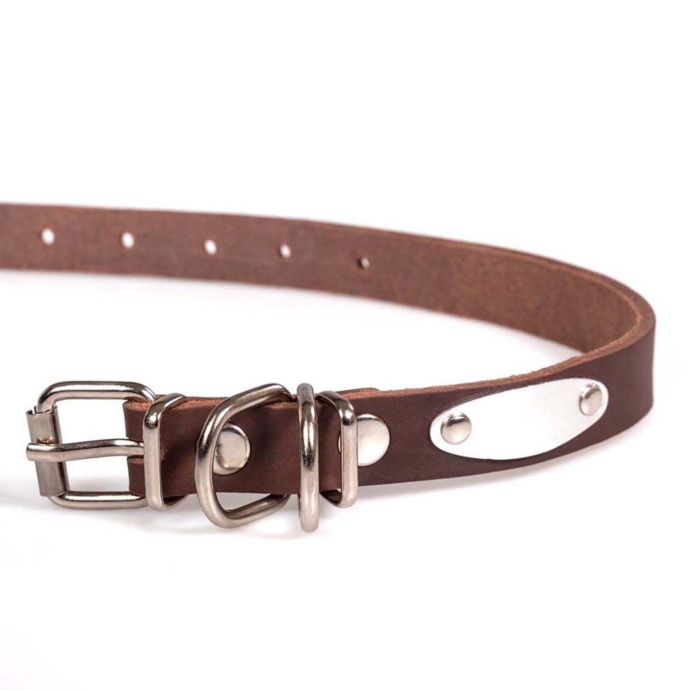Funky Pet Oil Collar For Dogs 45cm - 2cm